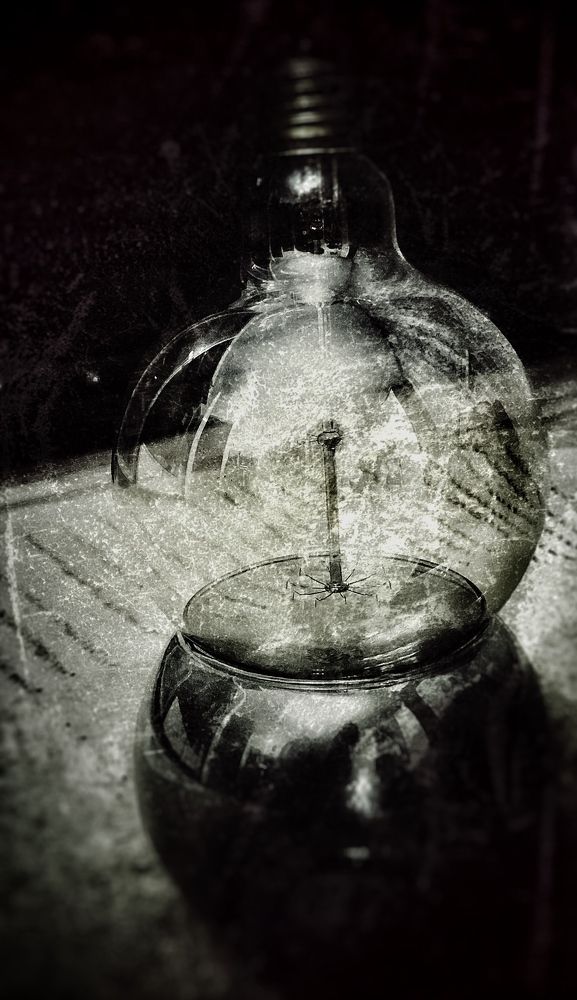 Photograph by Евгения