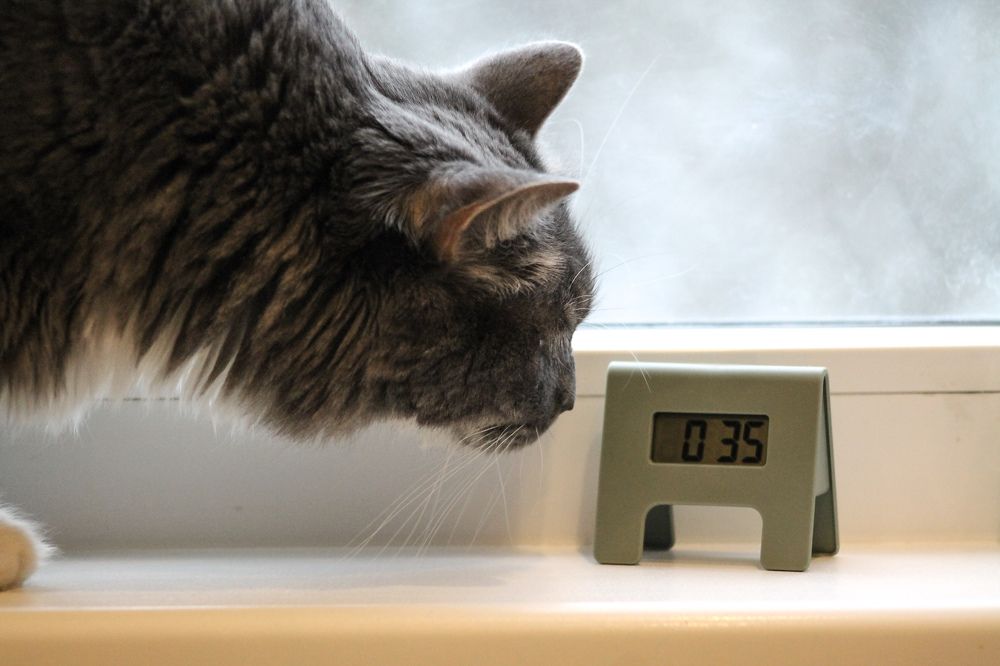 Photograph by Марина Кравцова