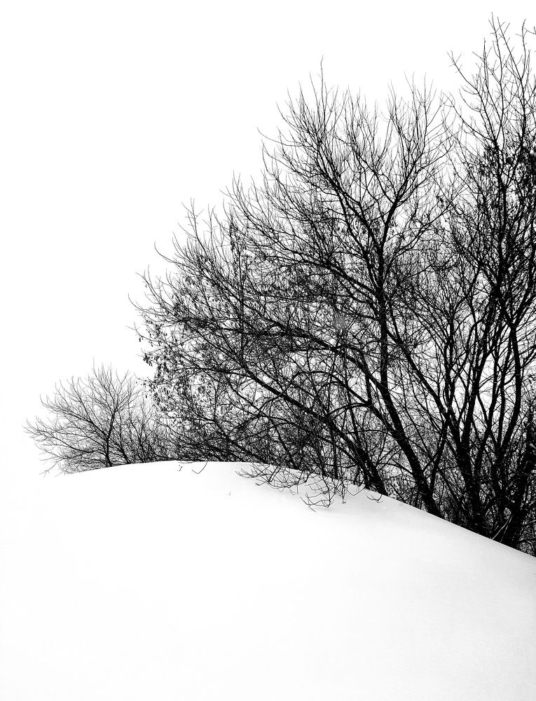 Photograph by Татьяна