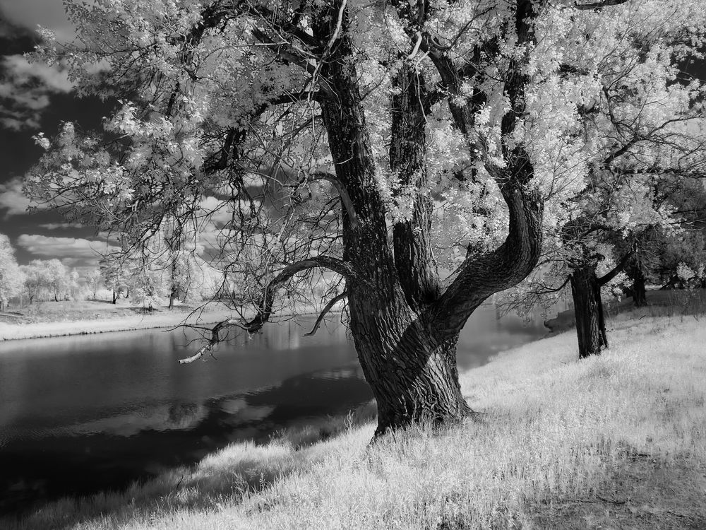 Фотография автора  Гобова Наталья