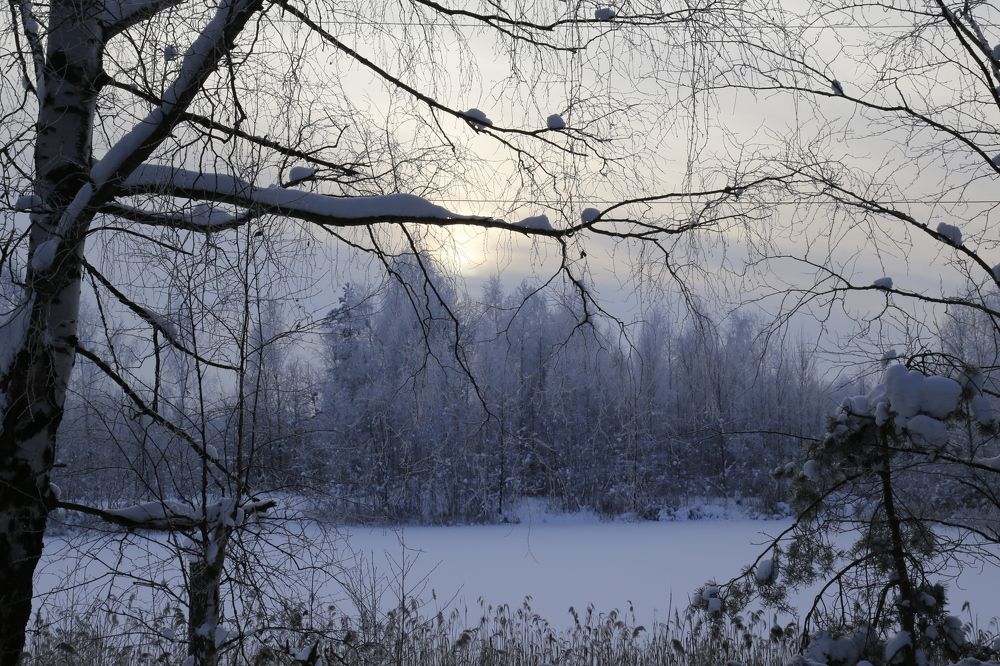 Photograph by Елена Буканина