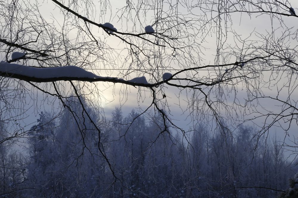 Photograph by Елена Буканина