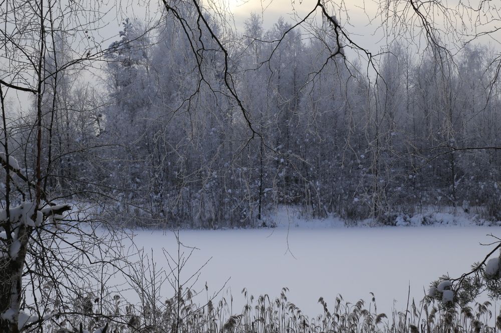 Photograph by Елена Буканина