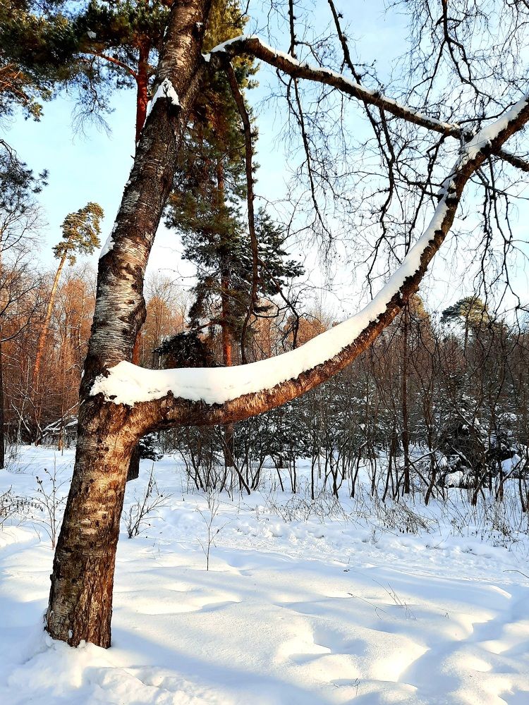 Photograph by Татьяна