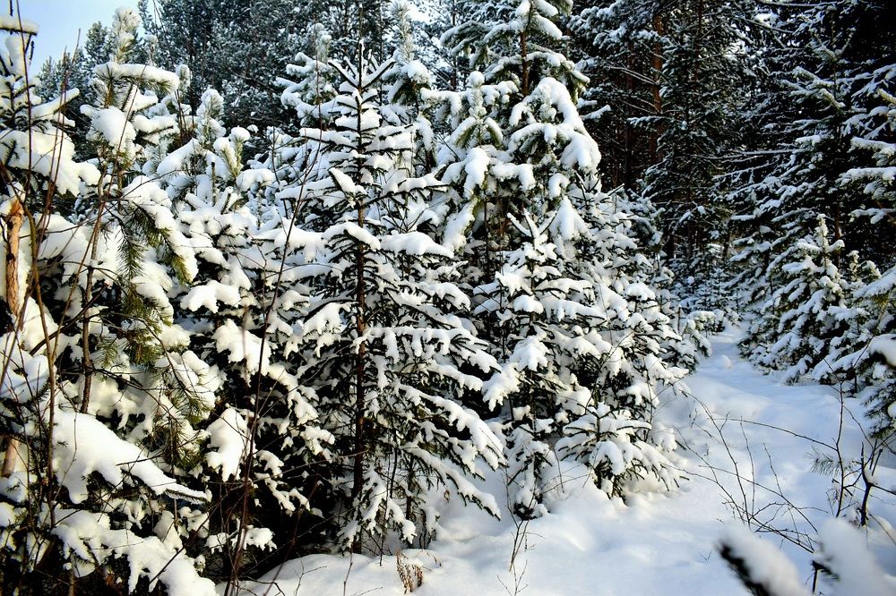 Photograph by Анна Киселева