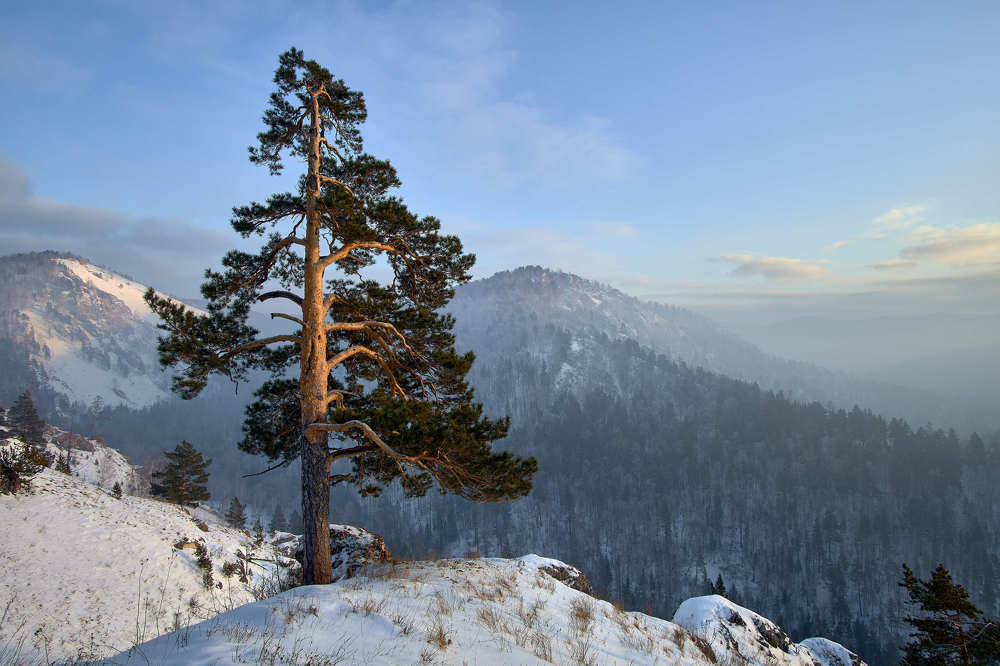 Photograph by Александр Могилатов