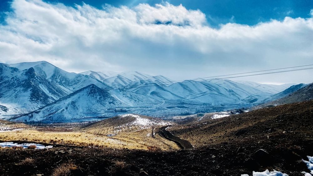 Фотография автора shima tabatabai