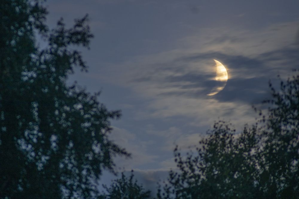 Photograph by Герман Корнеев