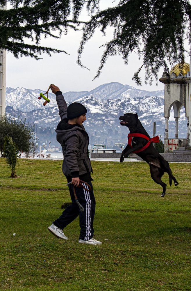 Photograph by vladimir khukhunalshvili
