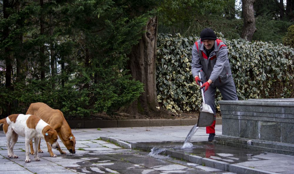 Photograph by vladimir khukhunalshvili