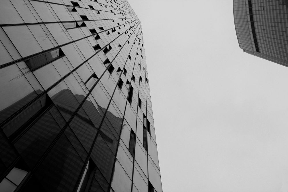 Photograph by Александр Лямцев