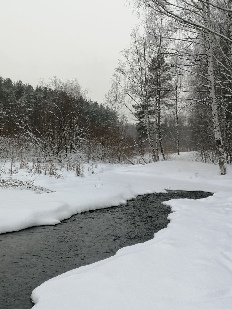 Photo #7149129