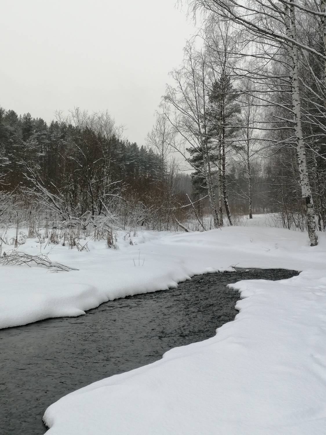 Photo #7149129