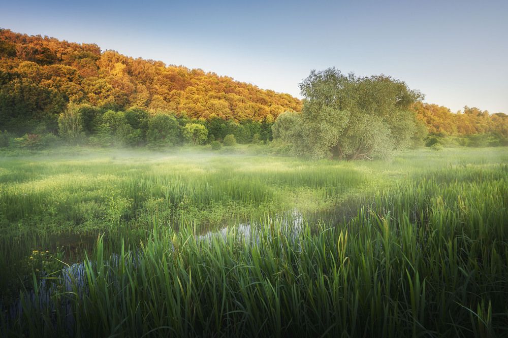 Photograph by Михаил Харитонычев