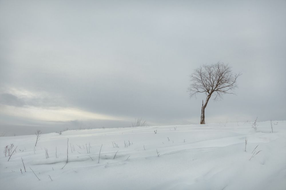 Photograph by Илья Мефодьев