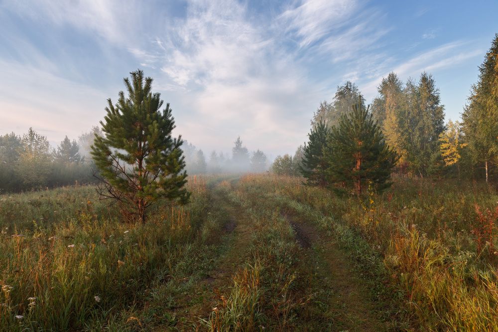 Фотография автора  Гобова Наталья