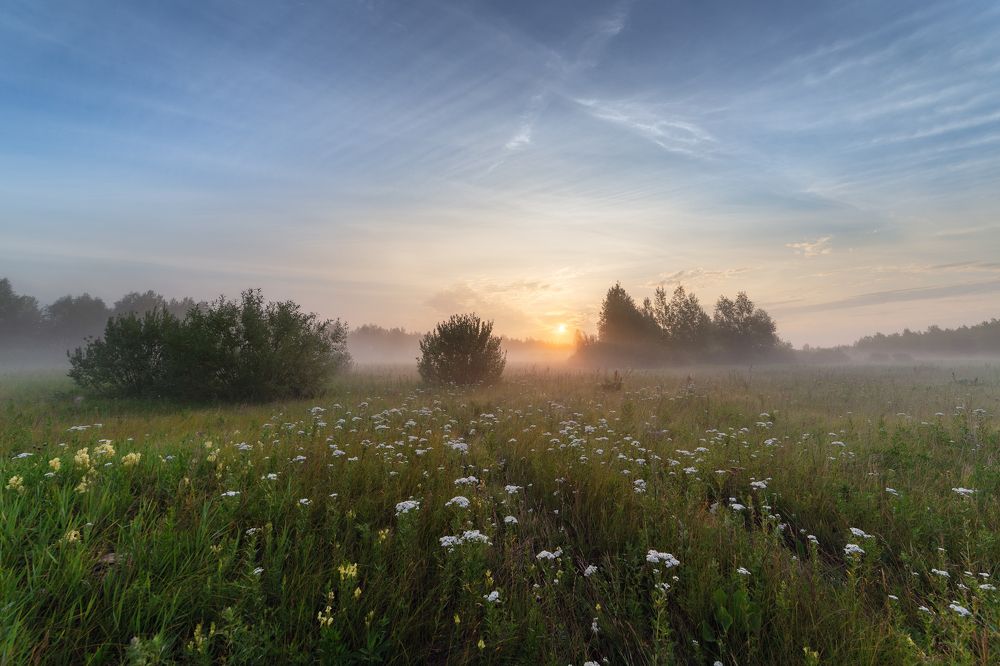 Фотография автора  Гобова Наталья