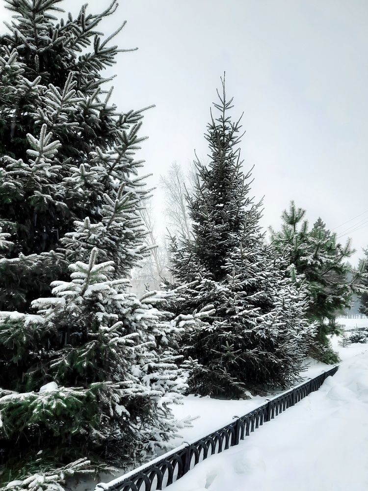 Photograph by Любовь Войтишина