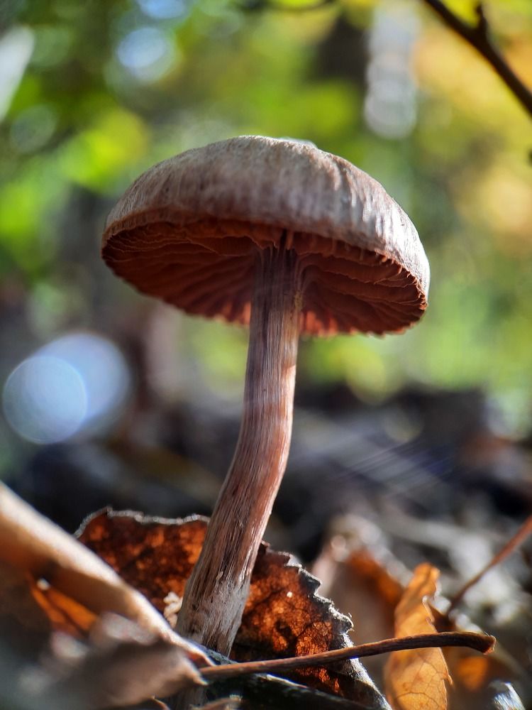 Photograph by Любовь Войтишина