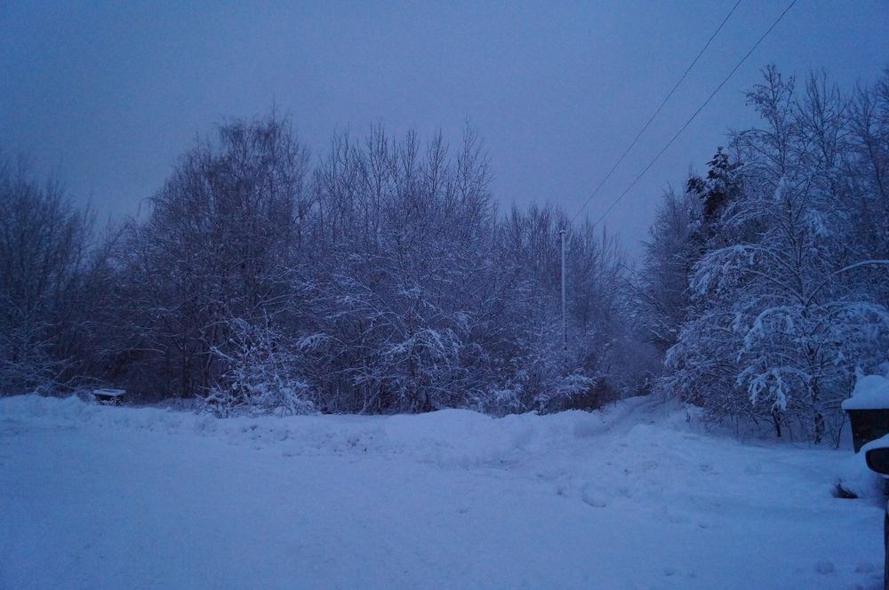 Photograph by Злата Иванченко