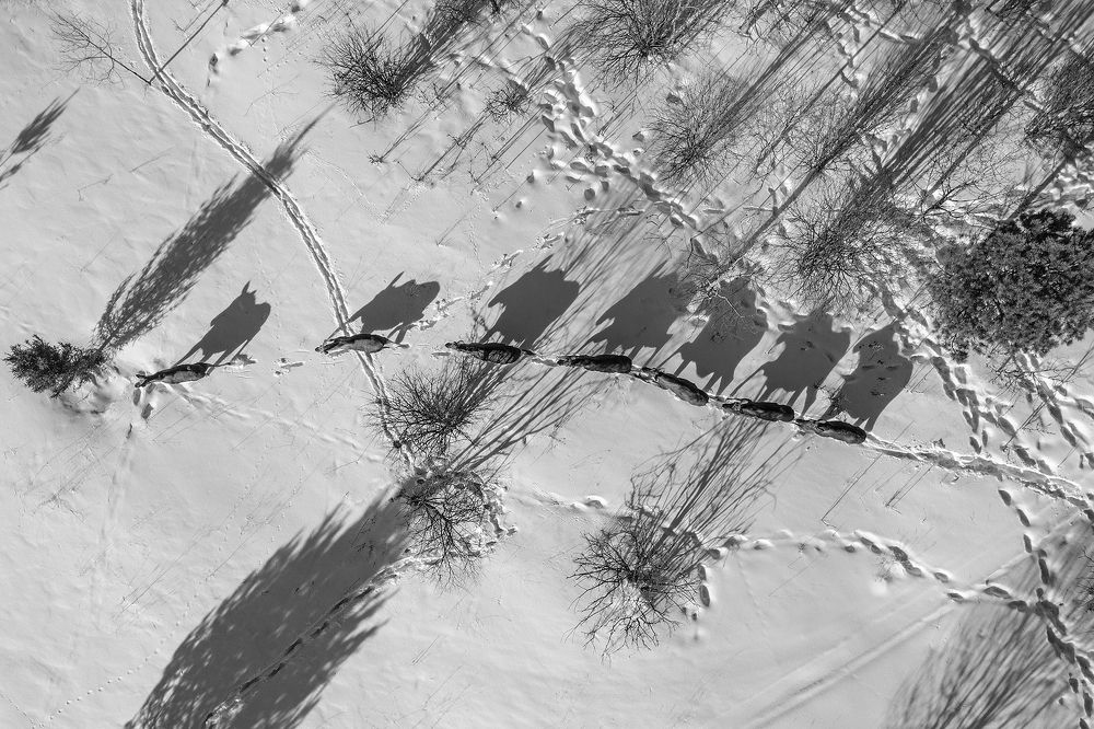 Photograph by Константин Ившин