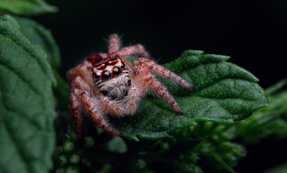 Photograph by Михаил Шпирко