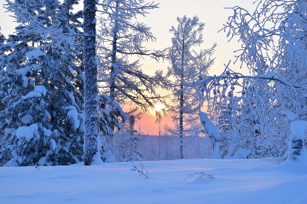 Зимний рассвет в тундре
