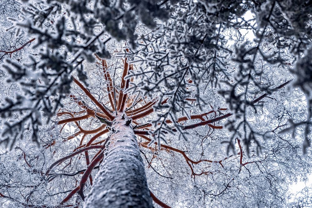 Photograph by Наталия Гриднёва