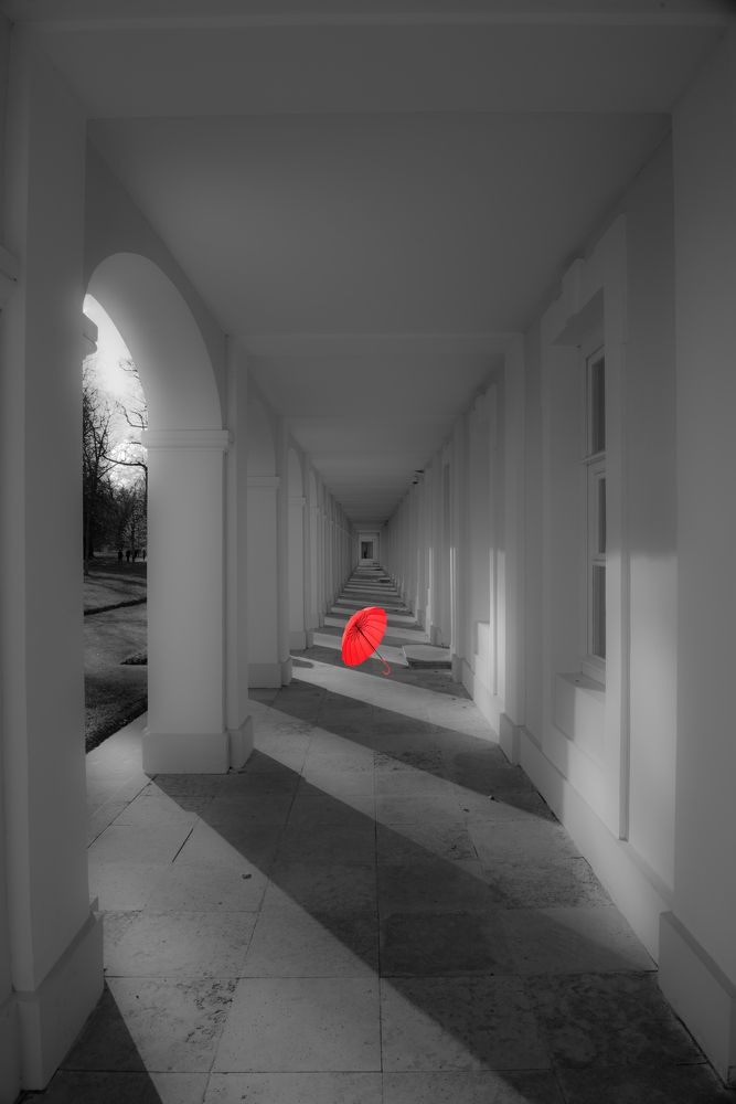 Photograph by Андрей Мозговой