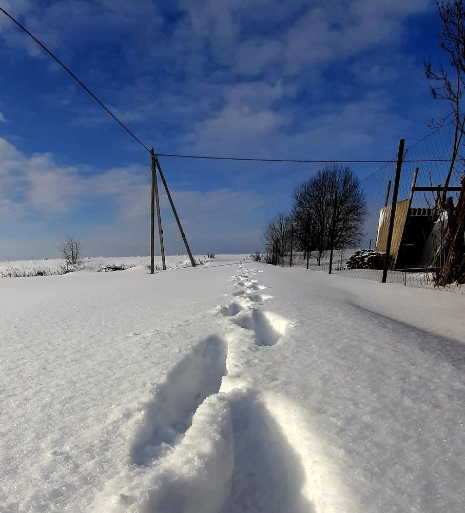 Фотография автора Моисеева Ольга