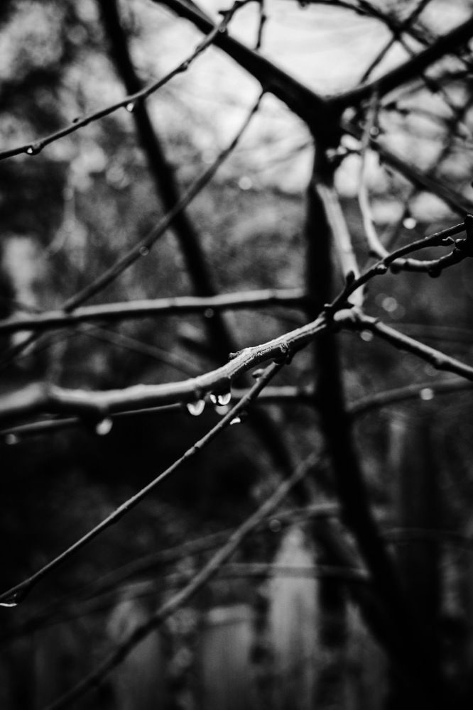 Фотография автора Алина Батын