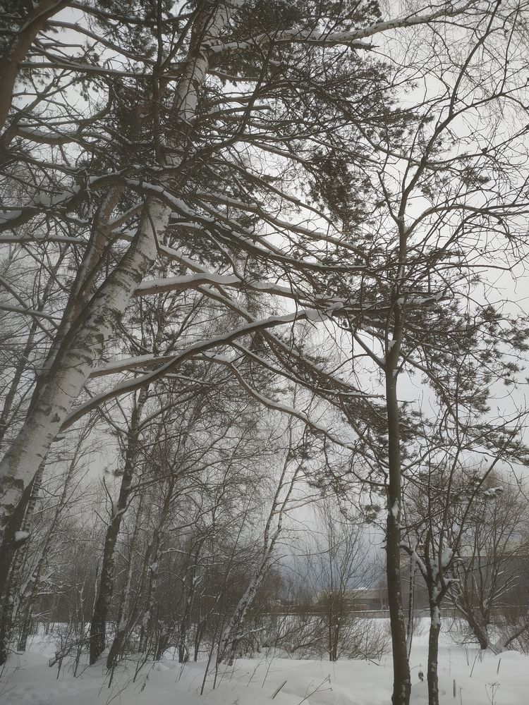 Photograph by Bain