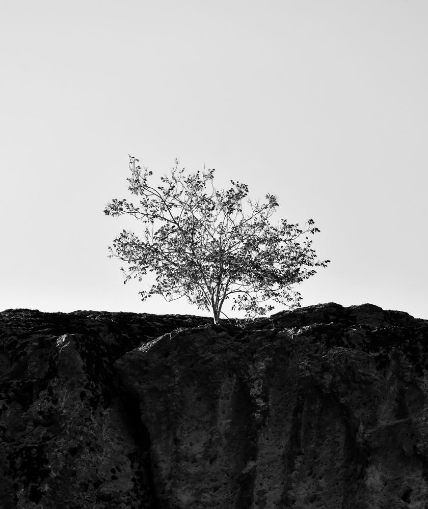 Photograph by Hosein Mayeli