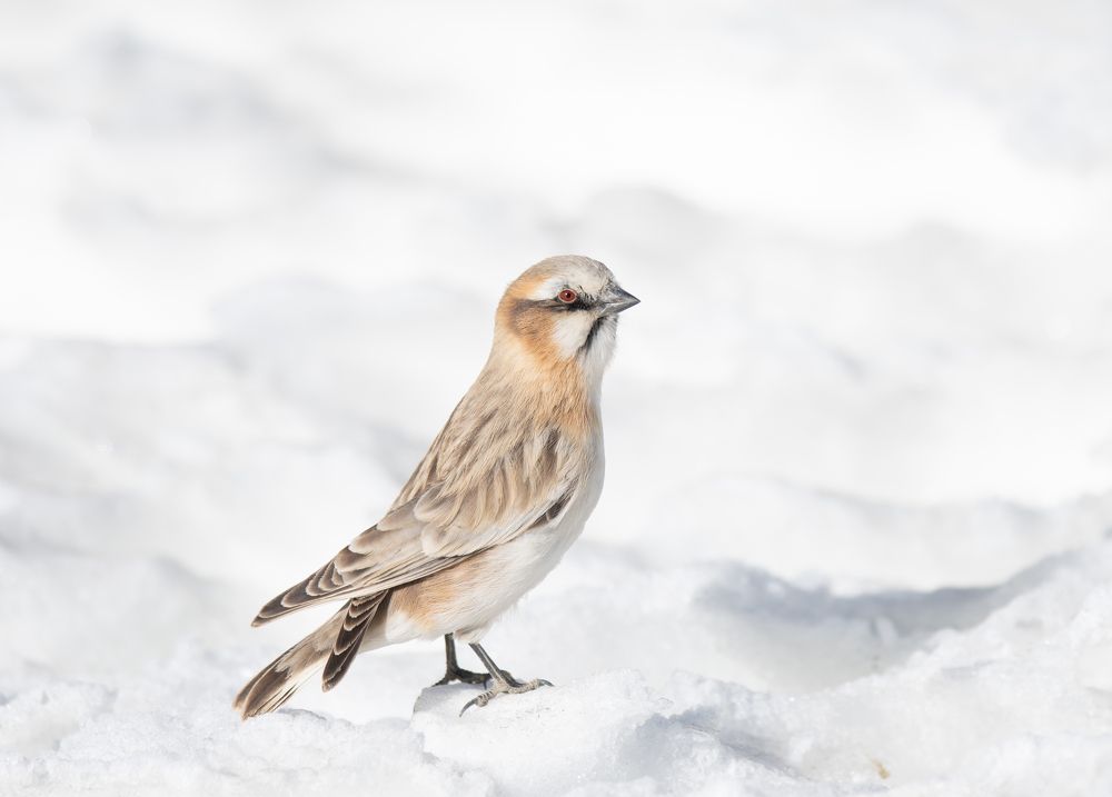 Photograph by Ranjith Kumar