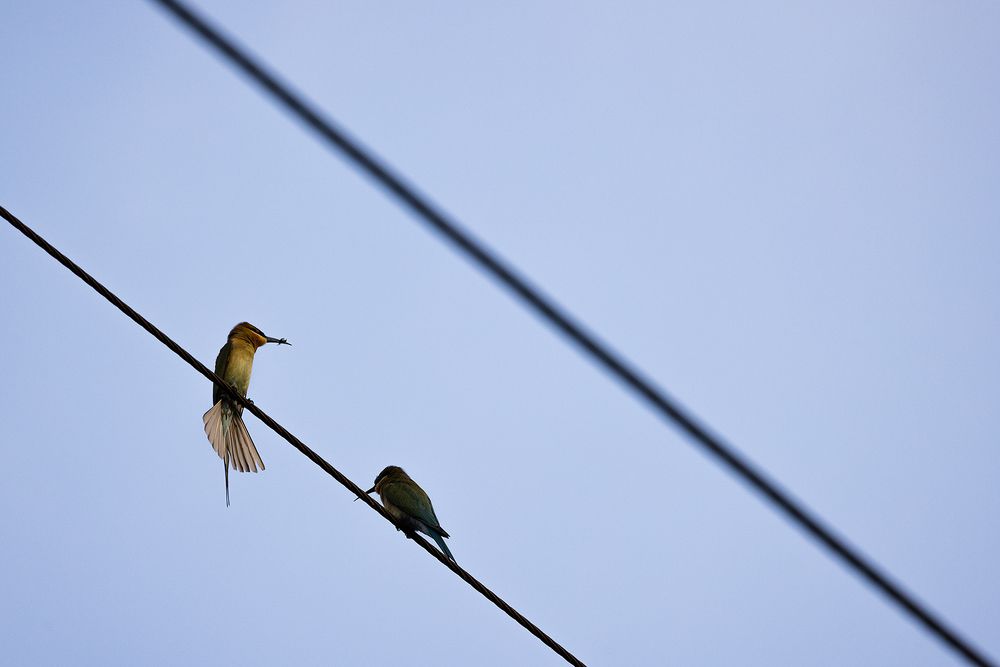 Photograph by vinay abraham mathew