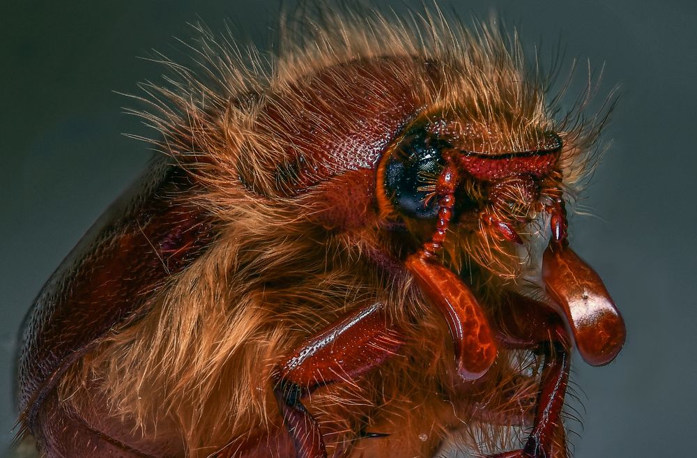 Photograph by Андрей Зимин