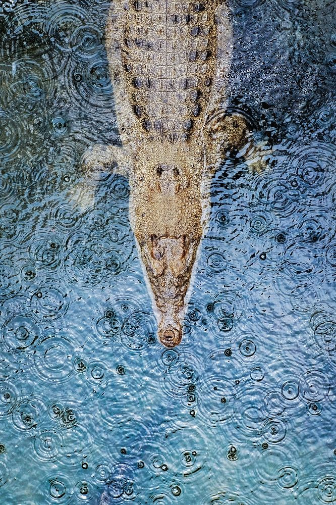 Photograph by Philip Am Guay