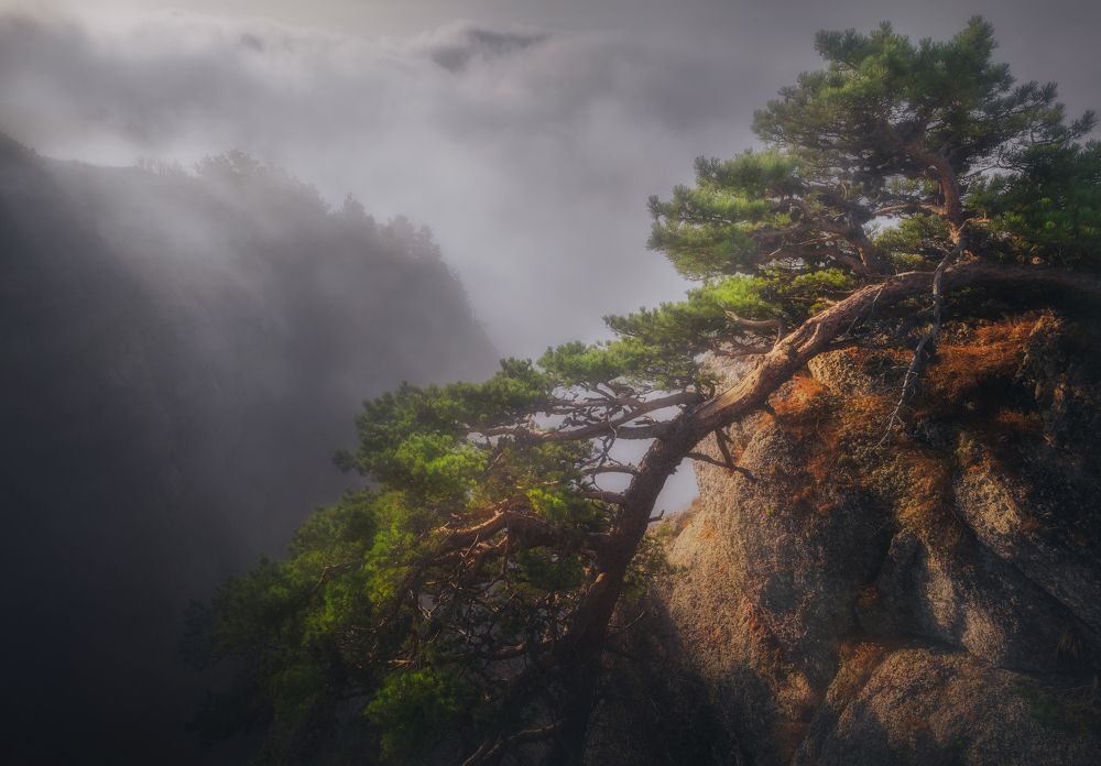 Photograph by Алексей Агеев