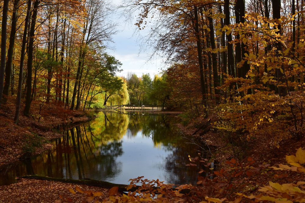 Photograph by Evgeniya Dron