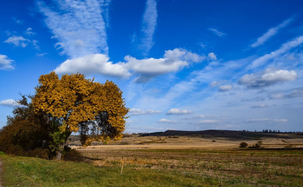 Photograph by Evgeniya Dron