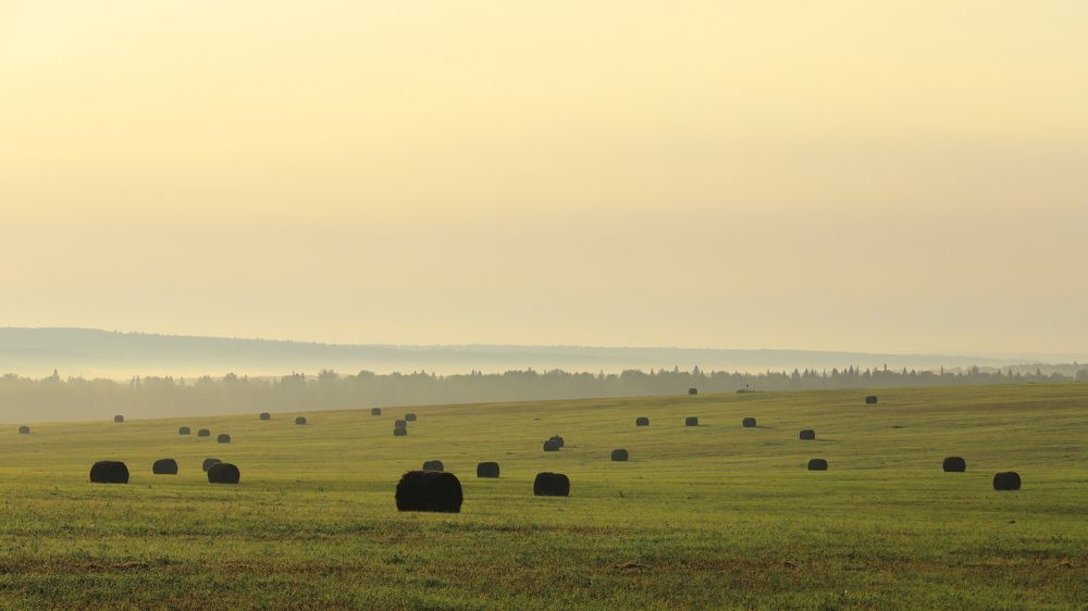 Photograph by Владимир Урбанович
