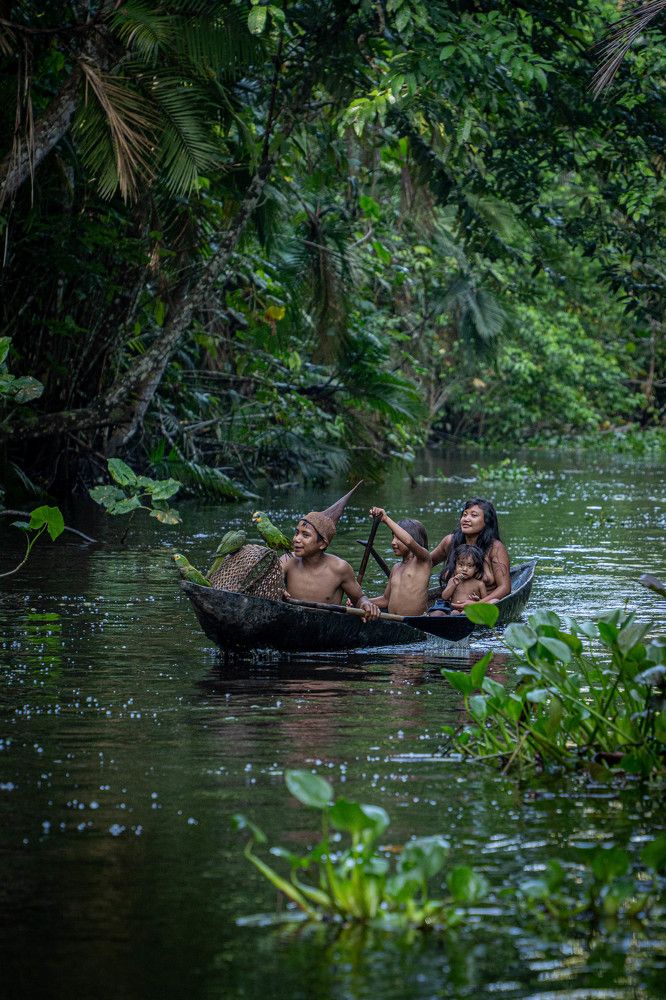 Fairy Tale Journey - Сказочное путешествие