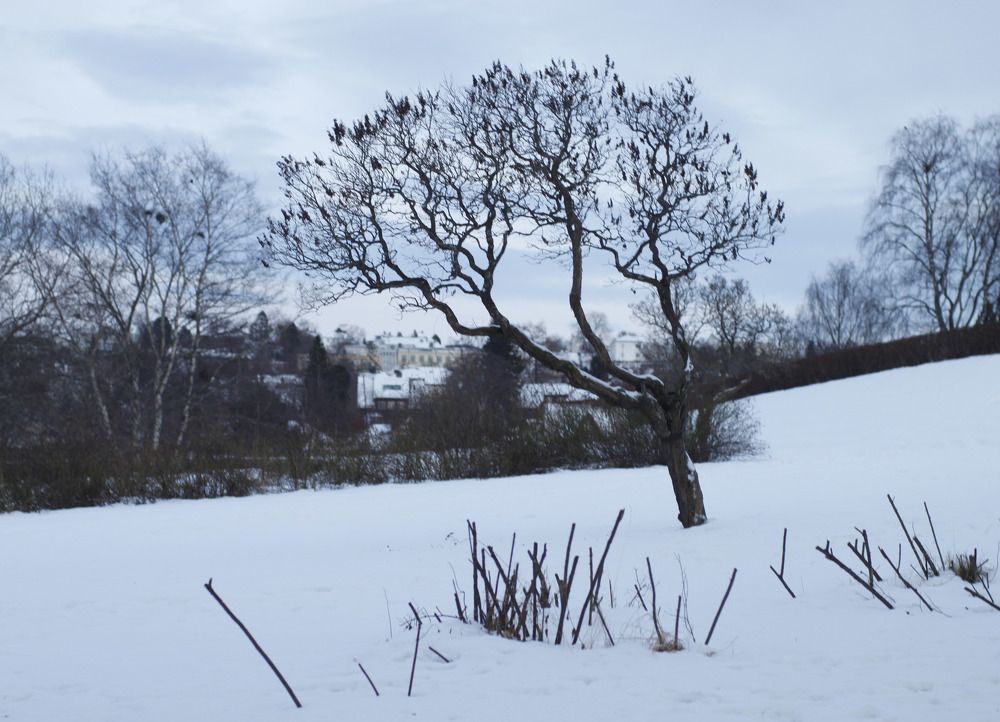 Photograph by Rustam Huseynov