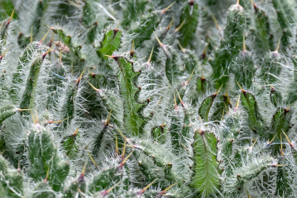 Photograph by Juris Livmanis