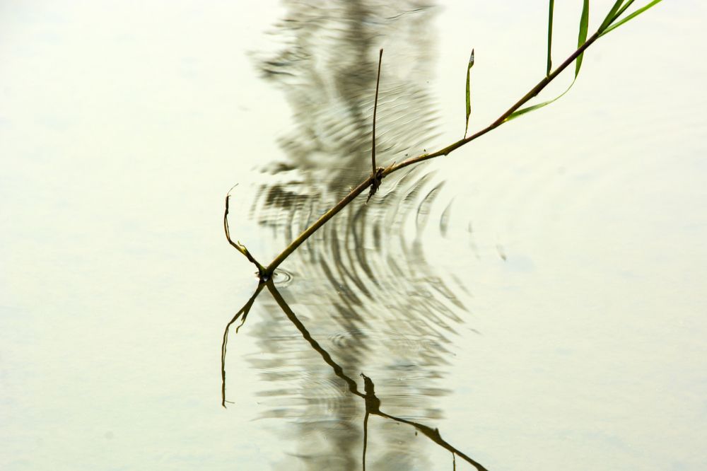 Photograph by Yosa Fiandra