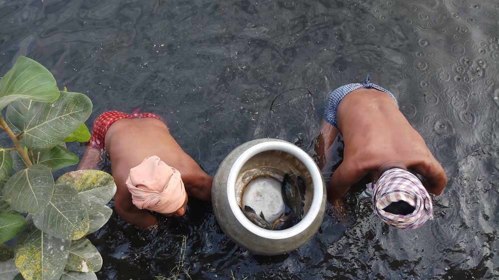Photograph by Dibakar Goswami