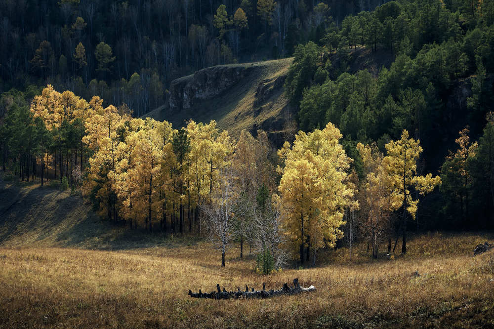 Photograph by Александр Могилатов