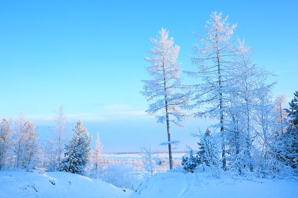 Утро на озере