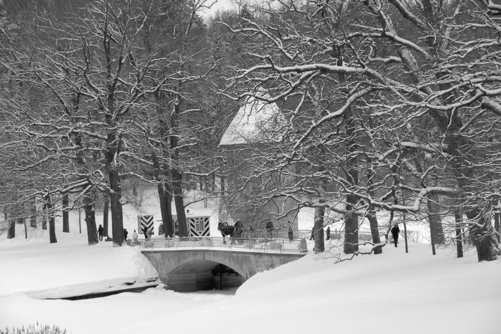 Photograph by Igor Sorokin