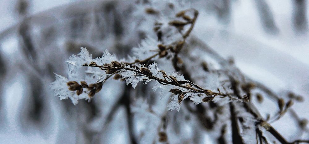 Photograph by Aleksandr Larionov